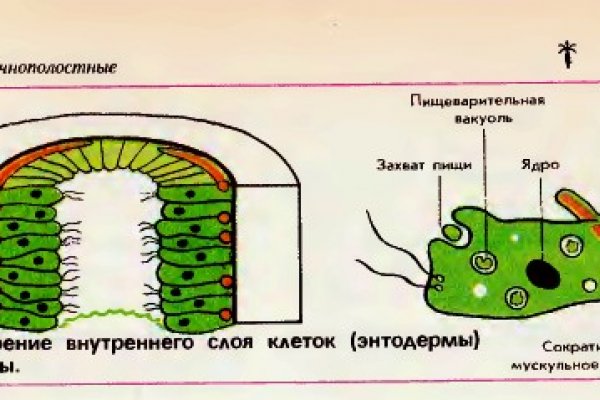 Кракен есть все